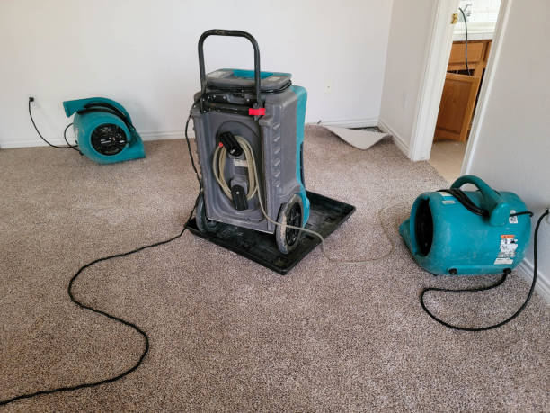 Best Flood damage cleanup  in Atwater, CA