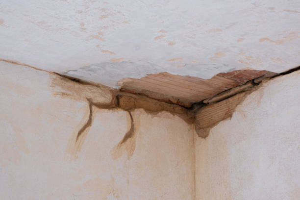 Best Carpet water damage restoration  in Atwater, CA