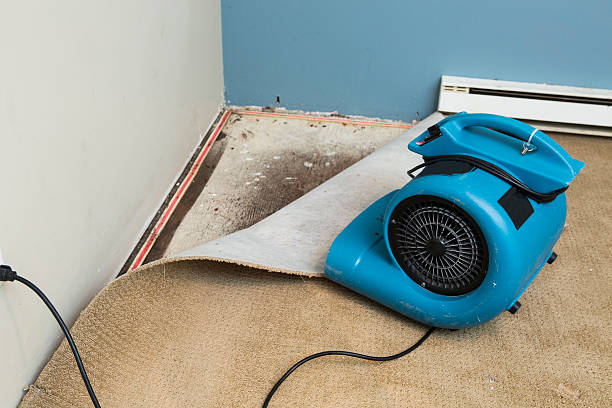 Best Water damage restoration near me  in Atwater, CA